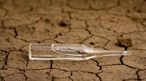 Dead dry land and drug